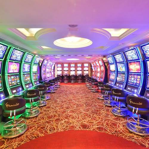 Miami Casino Guide: What to Look for Before Choosing a Site